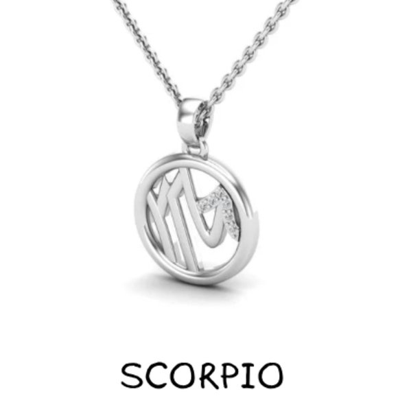 NWT Zodiac Medallion Necklace - 925 Sterling Silver - Picture 12 of 12